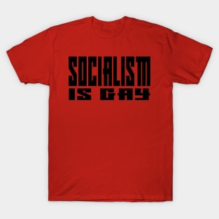 Socialism is Gay T-Shirt